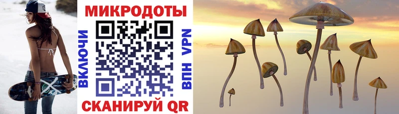 что такое наркотик  shop состав  blacksprut рабочий сайт  Галлюциногенные грибы Psilocybe  Рошаль 